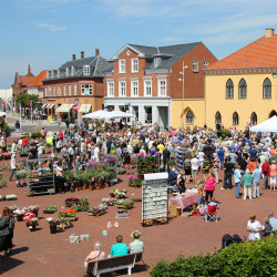 Vinduespudsning i Vordingborg - Vinduespudser til den bedste pris!